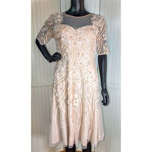 Adrianna Papell Beaded Mesh Dress Blush Pink Floral Sequin Sheer Sz 6